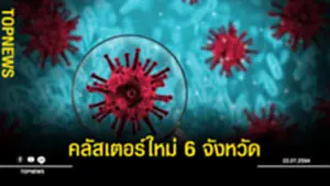 คลัสเตอร์ใหม่ 6 จังหวัด