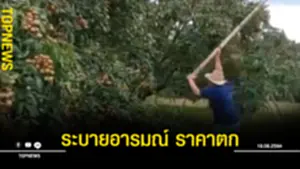 ระบายอารมณ์ ราคาตก