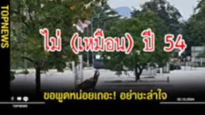 ชะล่าใจ
