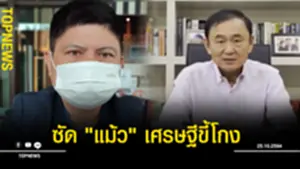 ซัดแม้วววฟ