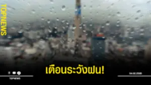 ฝฝฝนฝนฝน