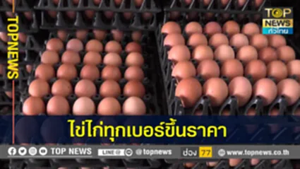 ชัยภูมิอ่วมต่อ  ราคาไข่ไก่ปรับขึ้นอีกแผงละ 3 บาท เผยมีต้นทุนสูงขึ้น