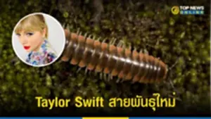 Taylor Swift, เทย์เลอร์ สวิฟต์, กิ้งกือ, กิ้งกือสายพันธุ์ใหม่, Nannaria Swiftae