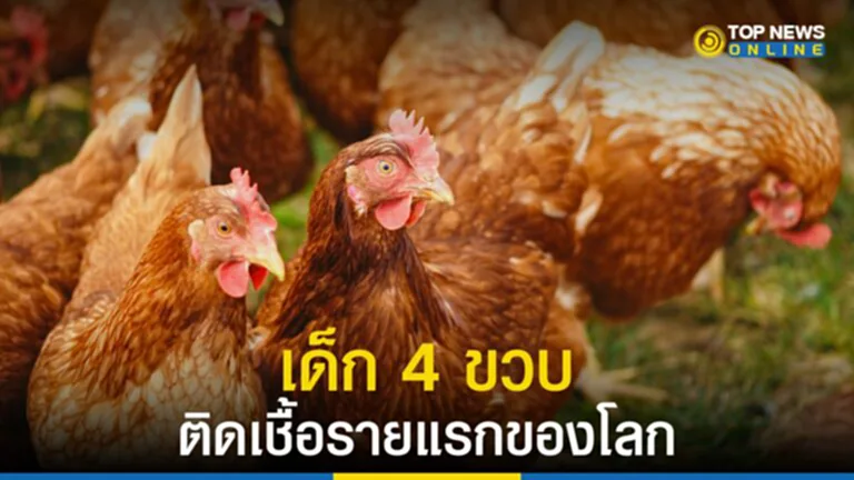 ไข้หวัดนก,​ไข้หสัดนก H3N8, ติดเชื้อ