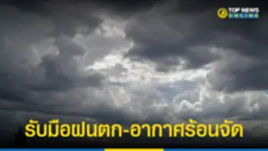 ฝนตกตก