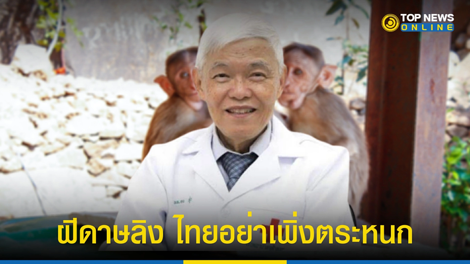 ฝีดาษลิง, ฝีดาษวานร, หมอยง, โรคฝีดาษ, ปลูกฝี, วัคซีนป้องกันฝีดาษ