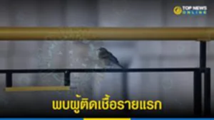 ไข้หวัดนก H5, ไข้หวัดนก H5N1, ไข้หวัดใหญ่สายพันธุ์เอ