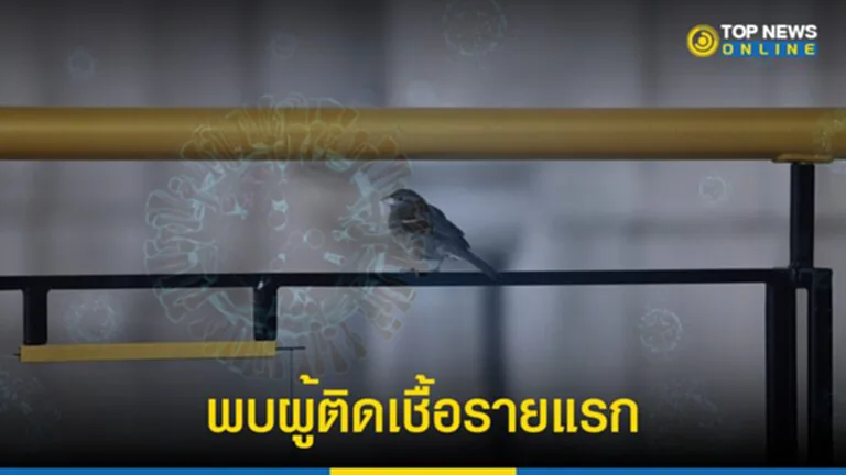 ไข้หวัดนก H5, ไข้หวัดนก H5N1, ไข้หวัดใหญ่สายพันธุ์เอ