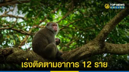 ฝีดาษลิง, ฝีดาษวานร, monkeypox, ฝีดาษลิงในไทย, ออสเตรเลีย, ผู้ติดเชื้อ, สธ.