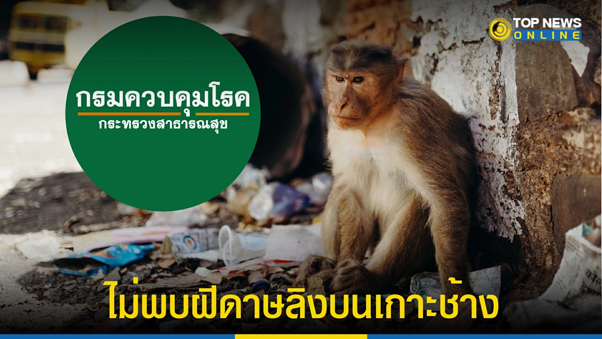 ฝีดาษลิง, ฝีดาษลิงในไทย, โรคฝีดาษลิง, มาลาเรีย, เกาะช้าง, ตราด, เกาะล้าน, อุทยานเกาะช้าง