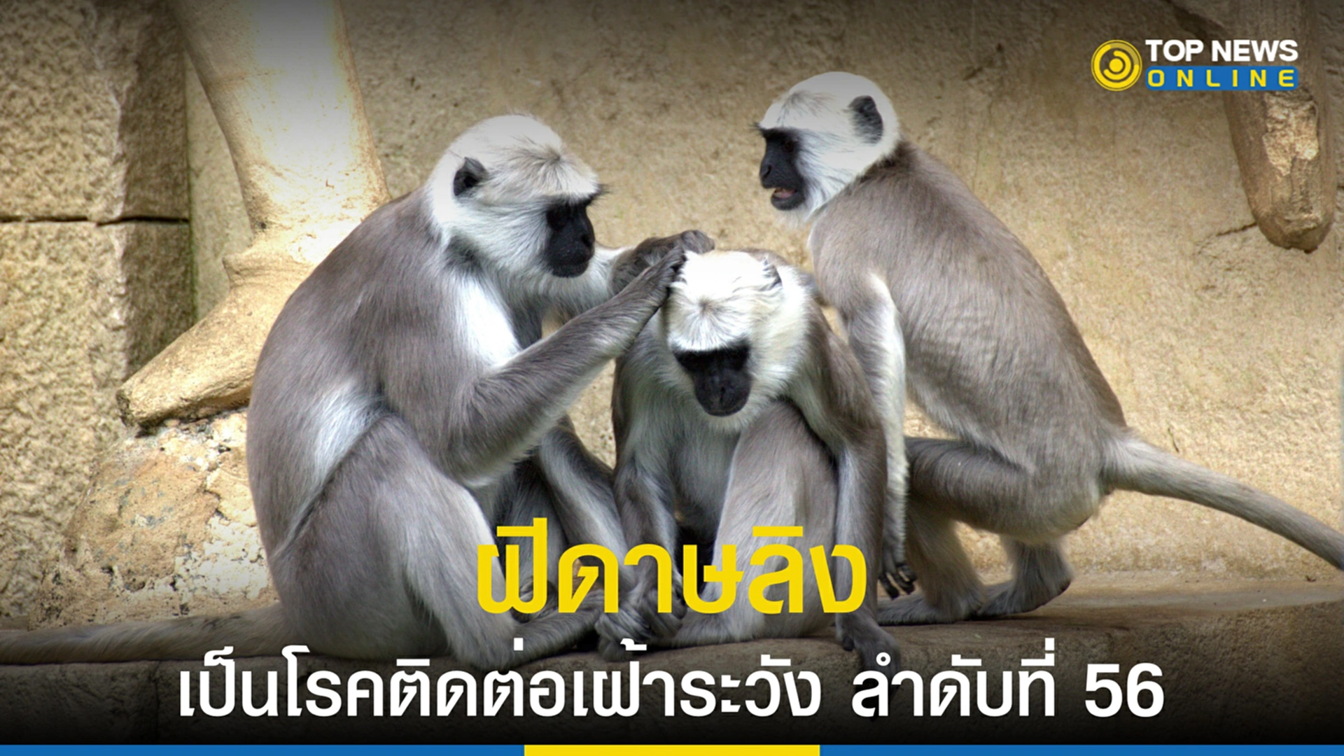 ฝีดาษลิง, โควิด-19, โรคติดต่อเฝ้าระวัง, คณะกรรมการโรคติดต่อแห่งชาติ