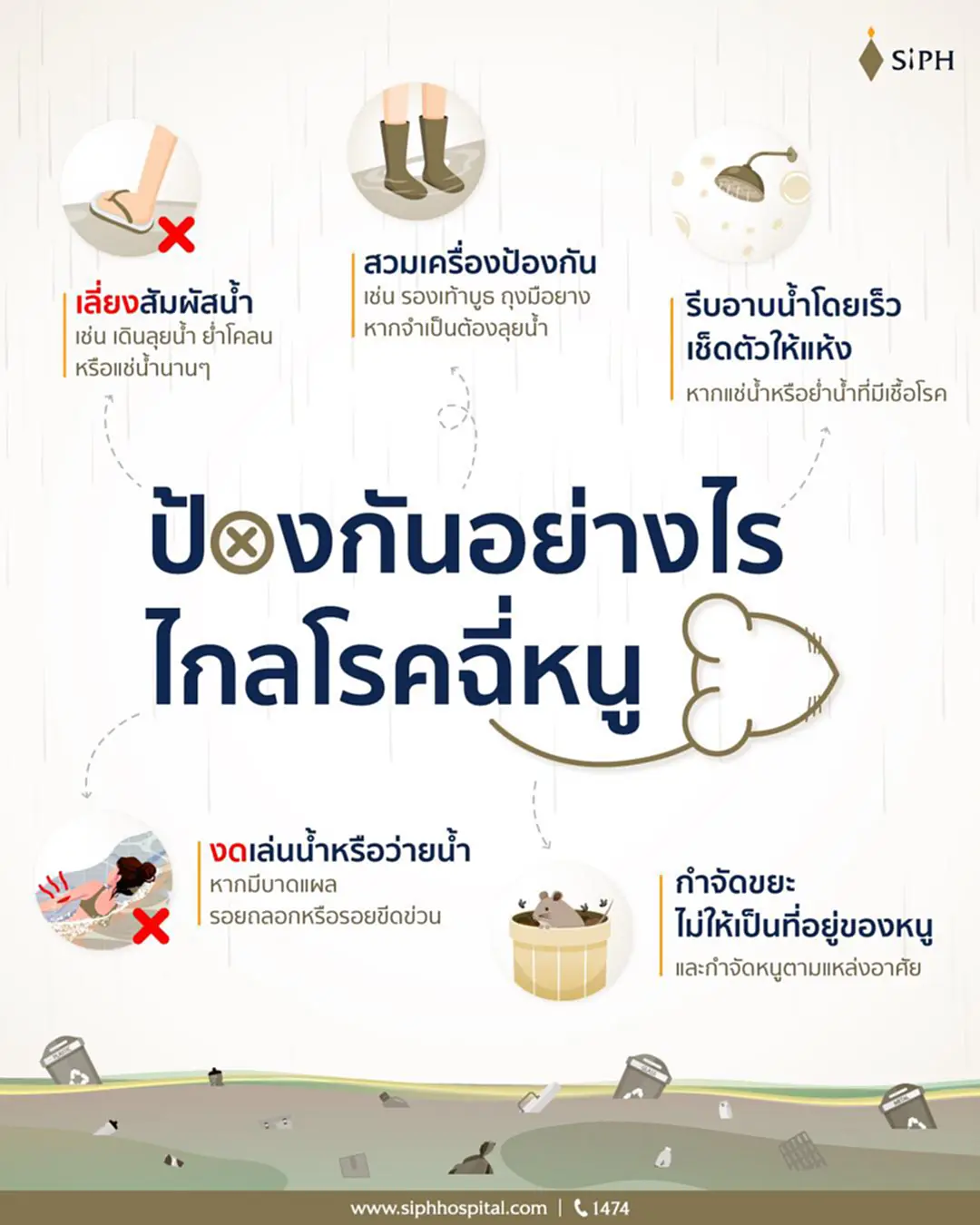 โรคฉี่หนู, หน้าฝน, ระวัง, น้ำท่วมขัง, อันตราย, ฤดูฝน, ไข้สูง, ปวดศีรษะ, สับสน, ปวดเมื่อยกล้ามเนื้อ