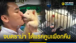 จบดรา