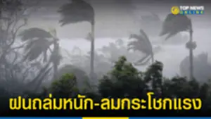 ฝนห