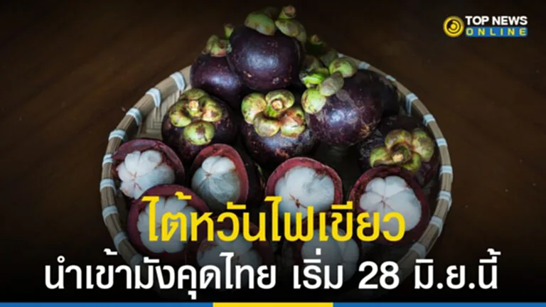 "ส่งออกผลไม้" ไต้หวัน ไฟเขียว นำเข้ามังคุดไทย เริ่ม 28 มิ.ย.นี้