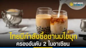 ชานมไข่มุก, ไข่มุก, ตลาดชานมไข่มุก, กำลังซื้อ, ไทย, บริโภค