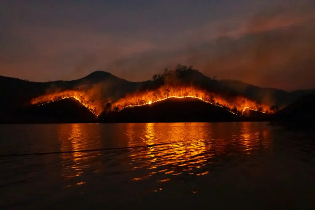 ไฟป่า, ​เหตุไฟป่า, โปรตุเกส, เกิดไฟป่า