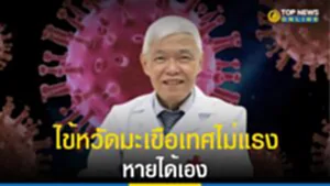 ไข้หวัดมะเขือเทศ, หมอยง, โรคมือ เท้า และปาก, ชิคุนกุนยา, ไข้ปวดข้อยุงลาย, ไข้หวัดมะเขือเทศ คือ, ไข้หวัดมะเขือเทศคืออะไร