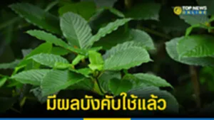 มี