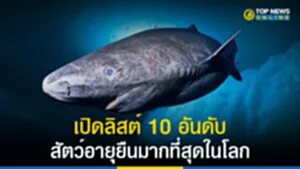 สัตว์ที่มีอายุยืนที่สุดในโลก, สัตว์อายุยืน, สัตว์อายุยืนที่สุดในโลก, สัตว์เลี้ยงลูกด้วยนม, หอย, ไฮดร้า, แมงกะพรุน, ฉลามกรีนแลนด์, วาฬหัวธนู