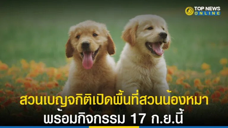 Dog Park, สวนเบญจกิติ, สวนน้องหมา, น้องหมา, สวนสำหรับสุนัข