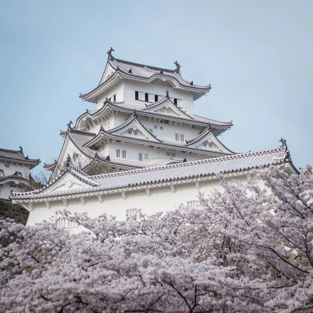 เที่ยว ญี่ปุ่น 2022, เที่ยว ญี่ปุ่น 2565, เที่ยว ญี่ปุ่น เดือน ตุลาคม, ญี่ปุ่น เปิด ประเทศ, มาตรการผ่อนปรนการเดินทางเข้าประเทศ, โควิด
