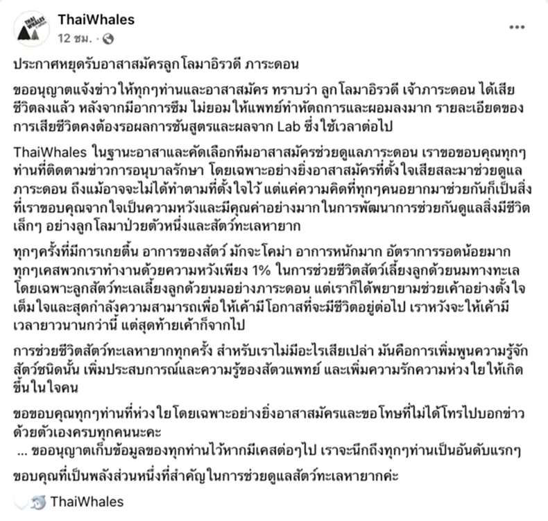 โลมาอิรวดี, ลูกโลมา, ลูกโลมาอิรวดี, ภาระดอน, โลมาเกยตื้น, ลูกโลมาเกยตื้น