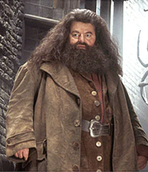 Robbie Coltrane, เสียชีวิต, แฮร์รี่ พอตเตอร์, Harry Potter, ร็อบบี้ โคลเทรน, รูเบอัส แฮกริด, Rubeus Hagrid