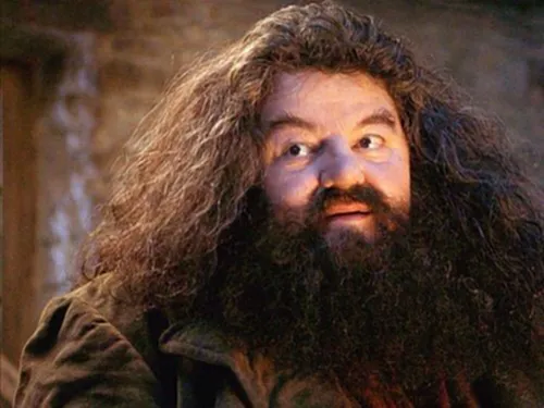 Robbie Coltrane, เสียชีวิต, แฮร์รี่ พอตเตอร์, Harry Potter, ร็อบบี้ โคลเทรน, รูเบอัส แฮกริด, Rubeus Hagrid