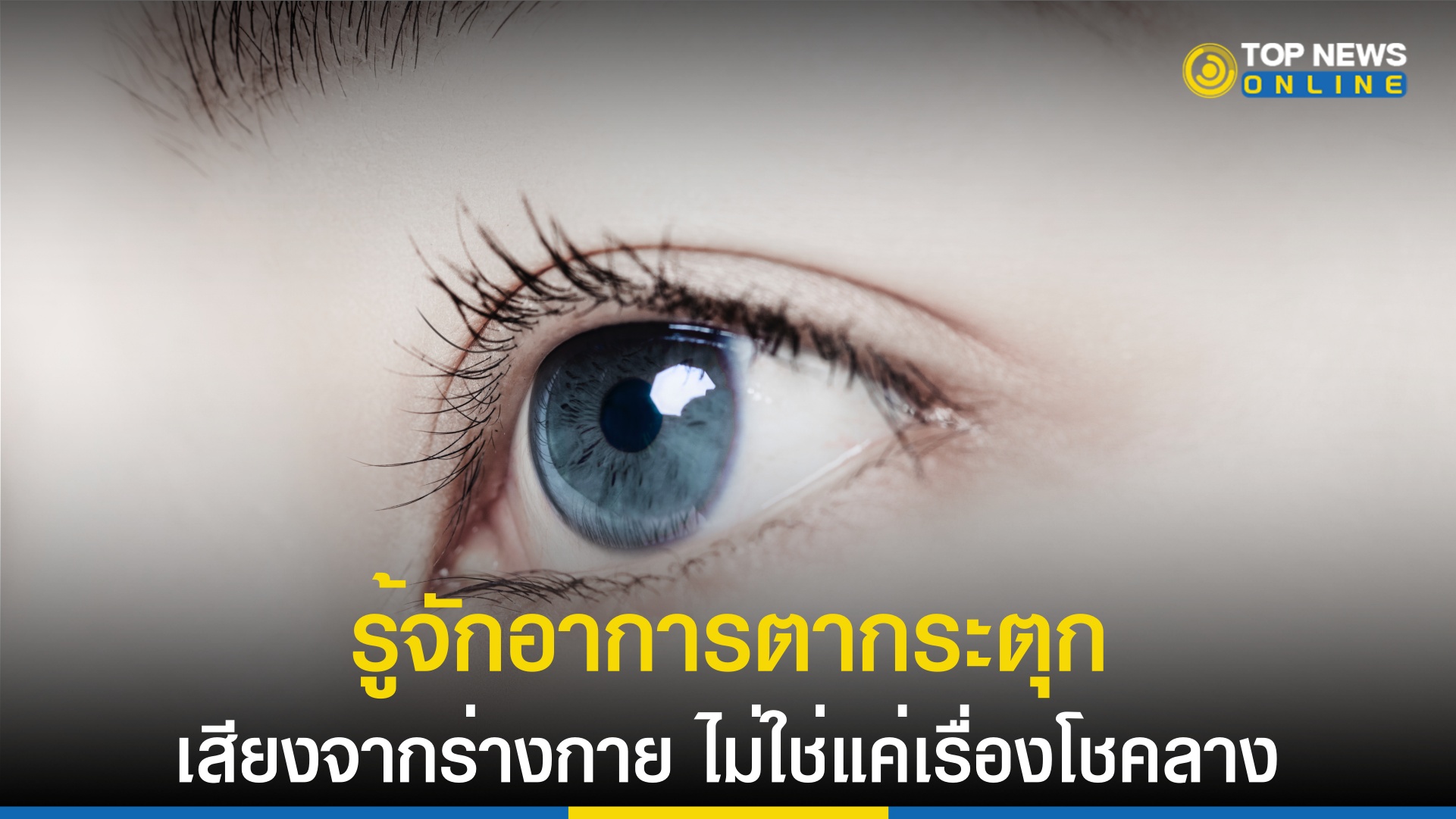 ทำความรู้จัก 