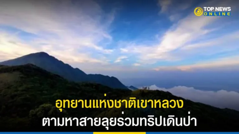 เดินป่า, ทริปเดินป่า, อุทยานแห่งชาติเขาหลวง, นักท่องเที่ยว, ศึกษาธรรมชาติระยะไกล, ยอดเขาหลวง, ยอดฝามี – เนินลมฝน, สันเครื่องบินตก, อุทยานแห่งชาติ, เงื่อนไขการใช้เส้นทาง