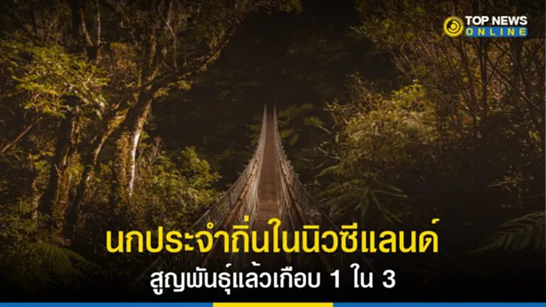 นกประจำถิ่น, นิวซีแลนด์, สัตว์ประจำถิ่น, สายพันธุ์นก, สูญพันธุ์, มนุษย์, กิจกรรมของมนุษย์, อัตราการสูญพันธุ์