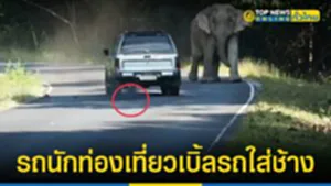 รถนักท่องเที่ยวเบิ้ลรถใส่ช้าง