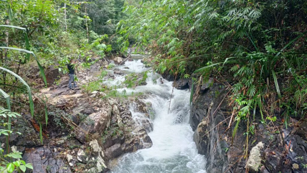 ดาวกระจาย