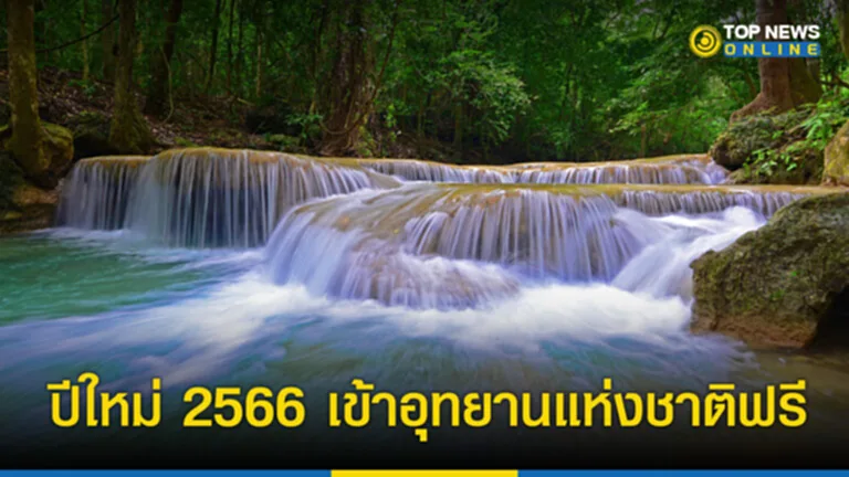 ปีใหม่ 2566