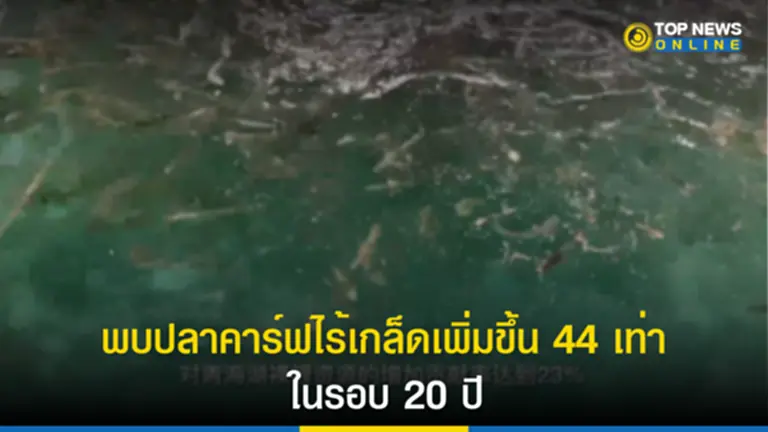 สัตว์หายาก, ทะเลสาบชิงไห่, มณฑลชิงไห่, ปลาคาร์ฟไร้เกล็ด, ทะเลสาบ, ลูกปลา, ผสมเทียม, ขยายพันธุ์ปลา