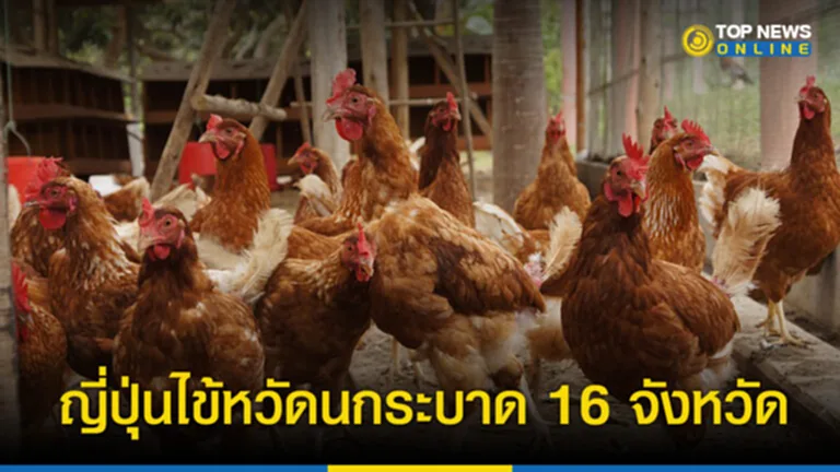 ไข้หวัดนก