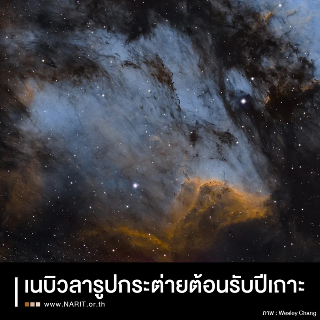 เนบิวลา NGC 7000, ดาวฤกษ์, กลุ่มแก๊ส, นักดาราศาสตร์, เนบิวลารูปกระต่าย, Pelican Nebula