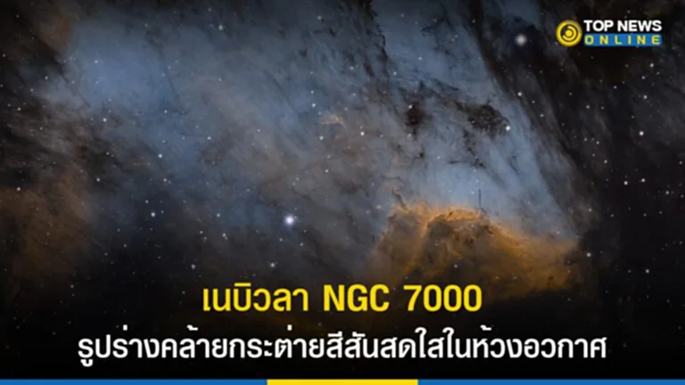 เนบิวลา NGC 7000, ดาวฤกษ์, กลุ่มแก๊ส, นักดาราศาสตร์, เนบิวลารูปกระต่าย, Pelican Nebula