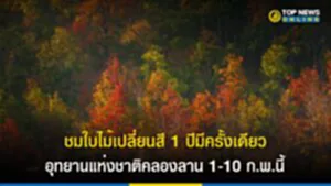 ใบไม้เปลี่ยนสี, ใบไม้ เปลี่ยนสี ไทย, ใบไม้ เปลี่ยนสี มี ที่ไหน บ้าง, อุทยานแห่งชาติคลองลาน, จุดชมวิวกิ่วงวงช้าง, ป่าเปลี่ยนสี, น้ำตกคลองลาน