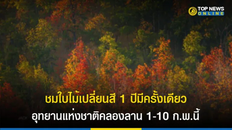 ใบไม้เปลี่ยนสี, ใบไม้ เปลี่ยนสี ไทย, ใบไม้ เปลี่ยนสี มี ที่ไหน บ้าง, อุทยานแห่งชาติคลองลาน, จุดชมวิวกิ่วงวงช้าง, ป่าเปลี่ยนสี, น้ำตกคลองลาน