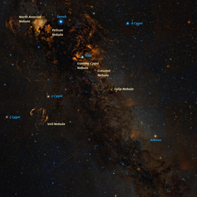 เนบิวลา NGC 7000, ดาวฤกษ์, กลุ่มแก๊ส, นักดาราศาสตร์, เนบิวลารูปกระต่าย, Pelican Nebula