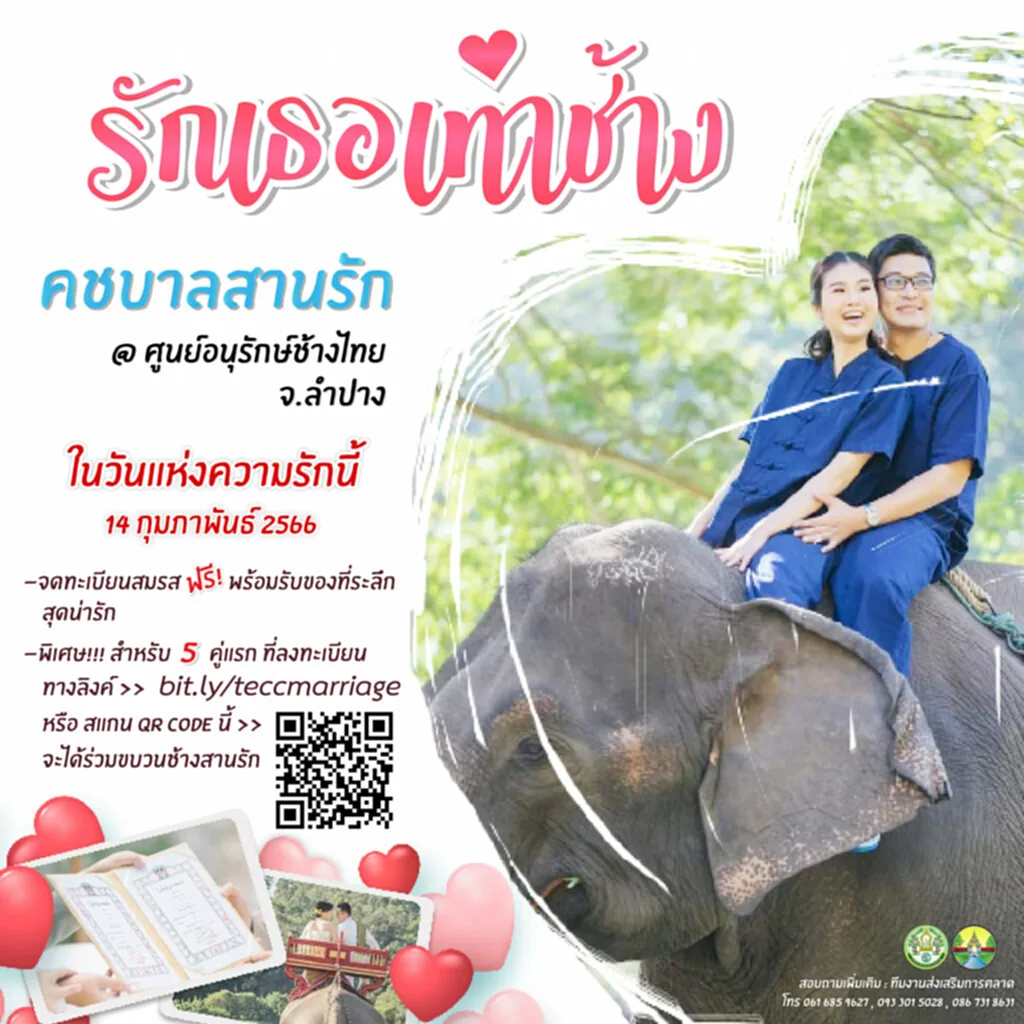 วาเลนไทน์ 14 กุมภาพันธ์ ศูนย์อนุรักษ์ช้างไทย