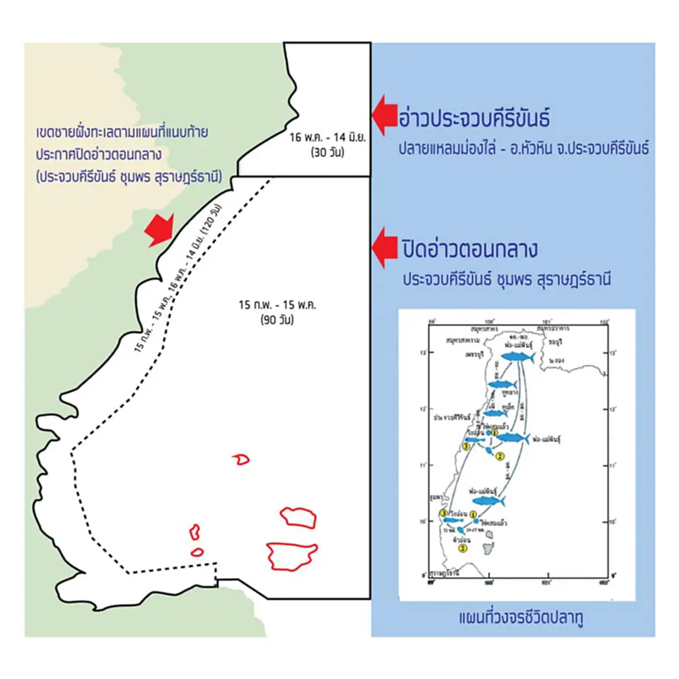 อ่าวไทย, ทะเล ฝั่ง อ่าว ไทย, ปิดอ่าวไทยตอนกลาง, กรมประมง, สัตว์ทะเลวางไข่, ปลาทู, พ่อพันธุ์แม่พันธุ์, สัตว์น้ำเศรษฐกิจ, มาตรการปิดอ่าว, มาตรการปิดอ่าวไทยตอนกลาง, เรือประมง