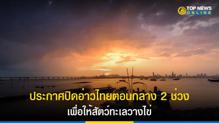 อ่าวไทย, ทะเล ฝั่ง อ่าว ไทย, ปิดอ่าวไทยตอนกลาง, กรมประมง, สัตว์ทะเลวางไข่, ปลาทู, พ่อพันธุ์แม่พันธุ์, สัตว์น้ำเศรษฐกิจ, มาตรการปิดอ่าว, มาตรการปิดอ่าวไทยตอนกลาง, เรือประมง