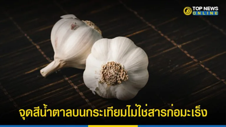 มะเร็ง, สารก่อมะเร็ง, กระเทียม, จุดสีน้ำตาลบนเนื้อกระเทียม, เชื้อรา, Aspergillus, สารพิษ, อะฟลาทอกซิน, จุลินทรีย์, รอยช้ำ