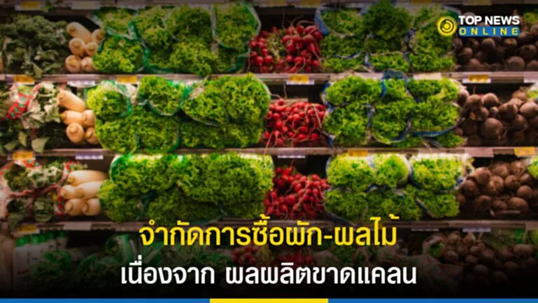 จำกัดการซื้อ, จำกัดการซื้อสินค้า, มะเขือเทศ, อังกฤษ, จำกัดโควตาการซื้อ, ผัก-ผลไม้, ซูเปอร์มาเก็ต, พริก, สภาพอากาศแปรปรวน, ขาดแคลนผลผลิต, เกษตรกร, แตงกวา, ผักกาดหอม, ผักกาด, ผักสลัดบรรจุถุง, บรอกโคลี, ดอกกะหล่ำ, ราสเบอร์รี่, สินค้าเกษตร