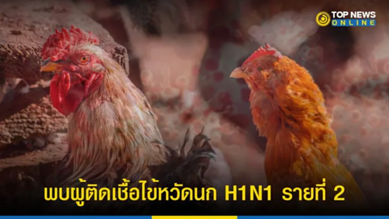 กัมพูชา, ไข้หวัดนก, ไข้หวัด นก h5n1, ข่าว ไข้หวัด นก, ไข้หวัด นก ล่าสุด, ไข้หวัด นก อาการ, ผู้ป่วยโรคไข้หวัดนก, สัตว์ปีก, เชื้อไวรัสฯ, ไข้หวัดใหญ่, ไข้หวัดนกสายพันธุ์ H5N1