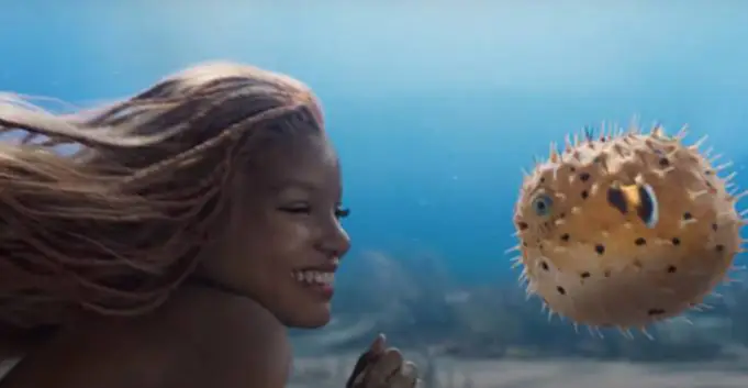 Little Mermaid, the little mermaid 2023, little mermaid 2023, halle bailey, ปลาปักเป้า, ปลาปักเป้าพองตัว, อายุสั้นลง, ดิสนีย์, เจ้าชายเอริก, เออร์ซูล่า, เจ้าหญิงเงือกน้อย, แอเรียล