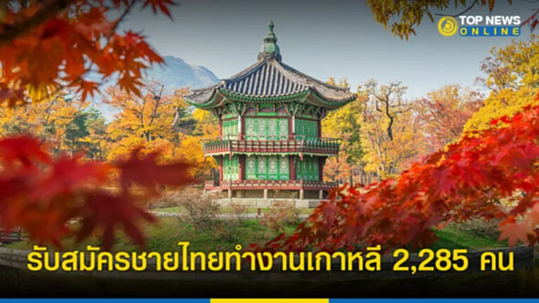 ทำงานเกาหลี 2566